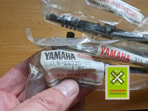 PXL_20240510_151125886